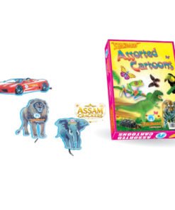Assorted Cartoons (10 Pcs)