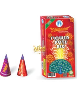 Flower Pots Big (10 Pcs)