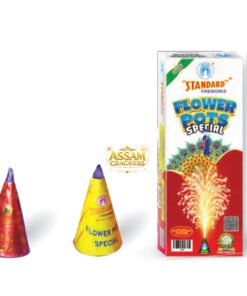 Flower Pots Special (10 Pcs)
